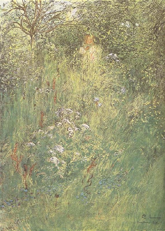 Carl Larsson in the Hawthorn Hedge oil painting picture